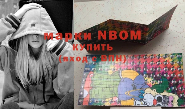 гашик Алексин