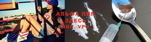 гашик Алексин