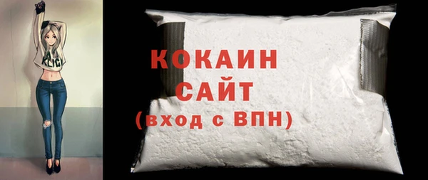 прущий лед Алзамай