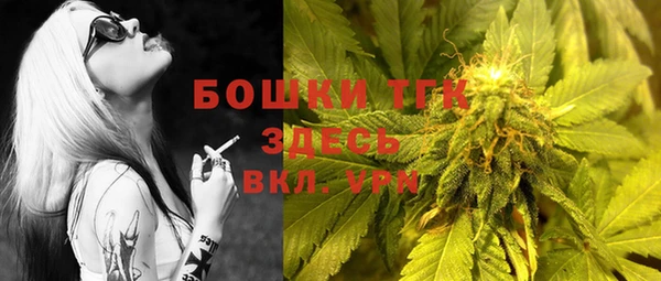 бошки Снежинск