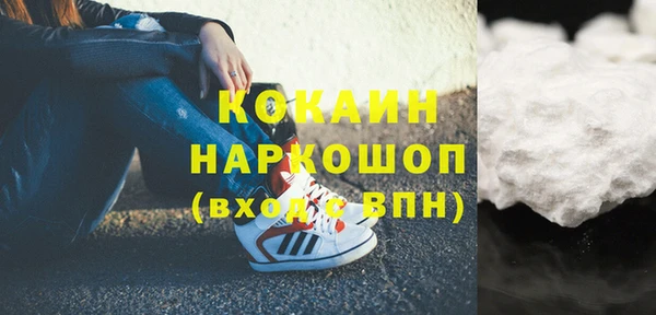 гашик Алексин