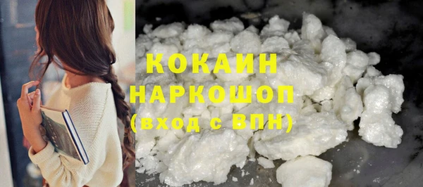 прущий лед Алзамай