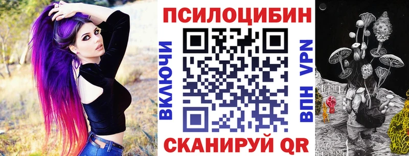 купить   Боготол  Псилоцибиновые грибы Magic Shrooms 